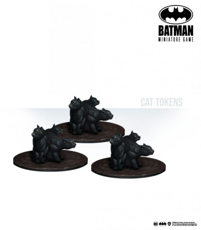 Catwoman - Image 3