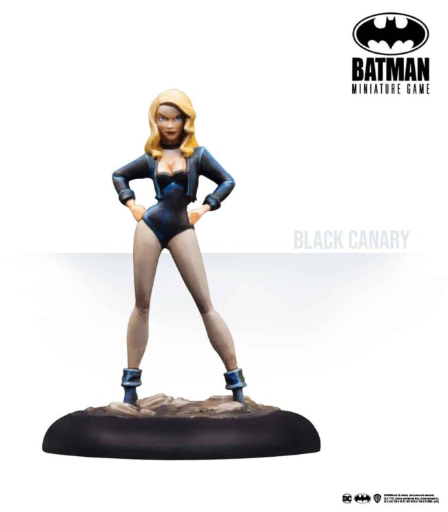 Batman, The Animated Series: Set 1 - Image 7